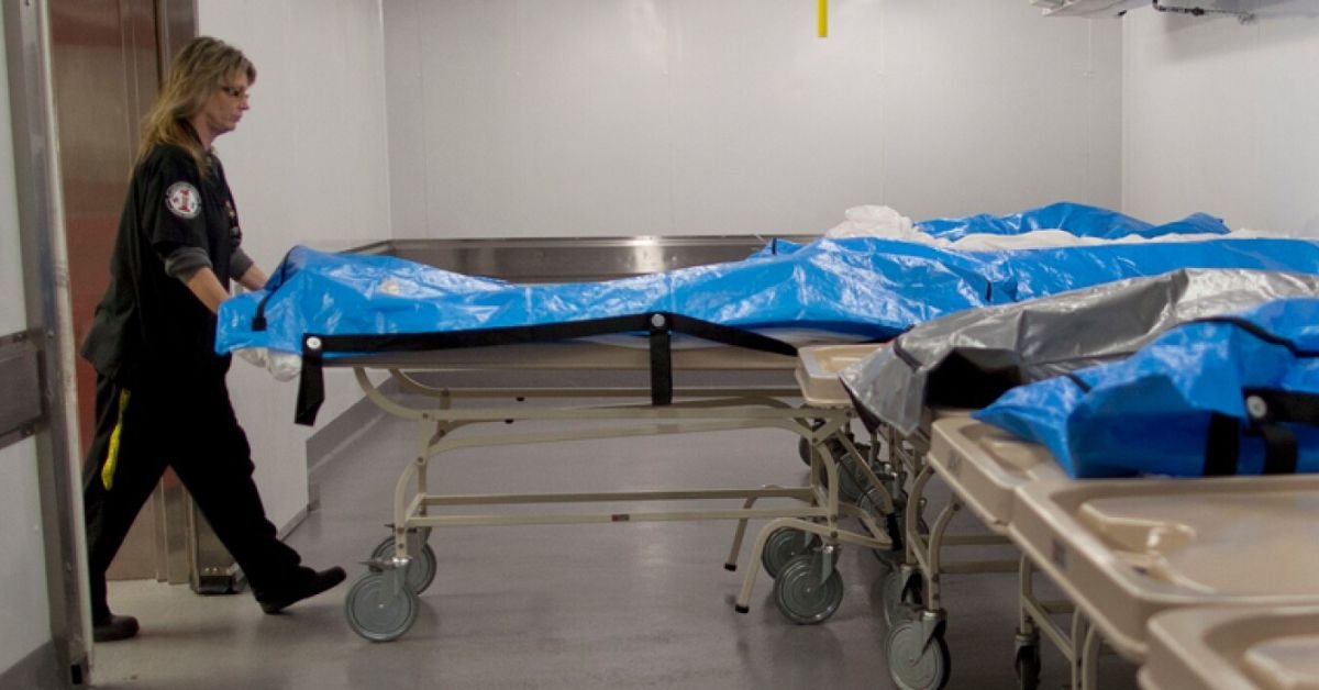 roles in a medical examiner office florida